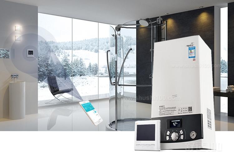 壁掛爐日常使用保養技巧